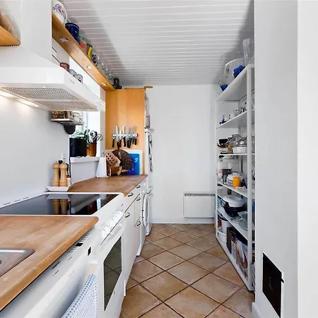 1319-n-liseleje-liselejevej-55 Liseleje